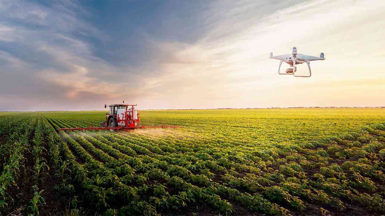 Smart Farms, smarter future: the role of AI in redefining agritech